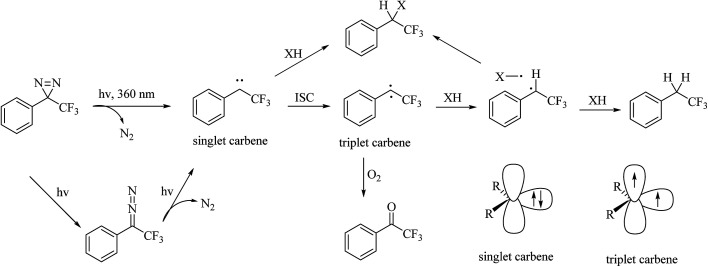 Fig. 5