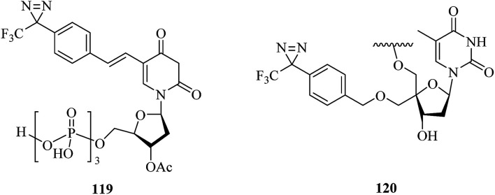 Fig. 18