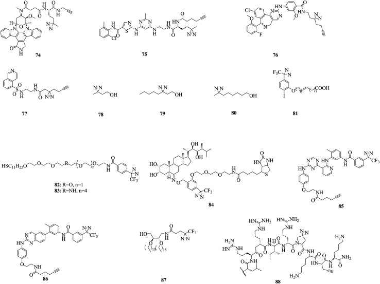 Fig. 13