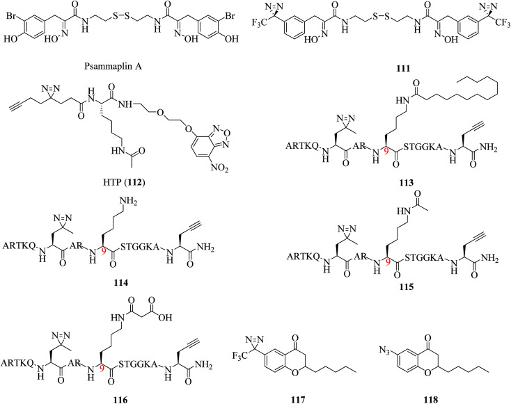 Fig. 17