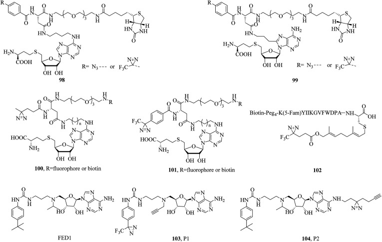 Fig. 15