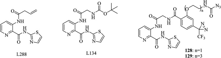 Fig. 21