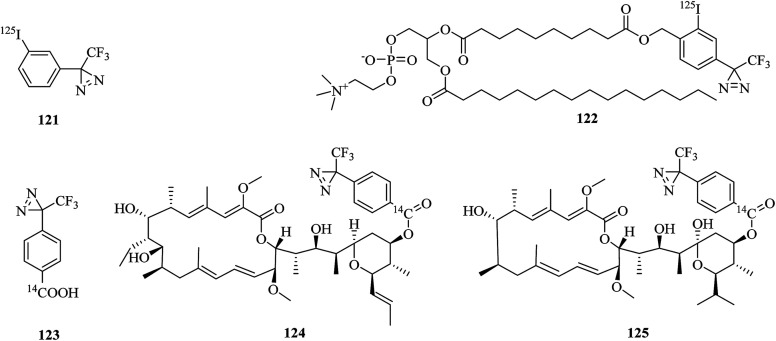 Fig. 19