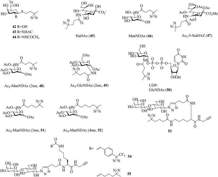 Fig. 9