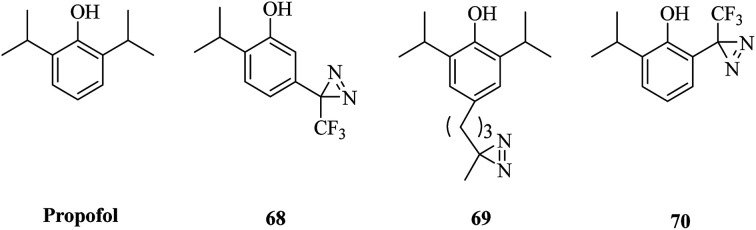 Fig. 11