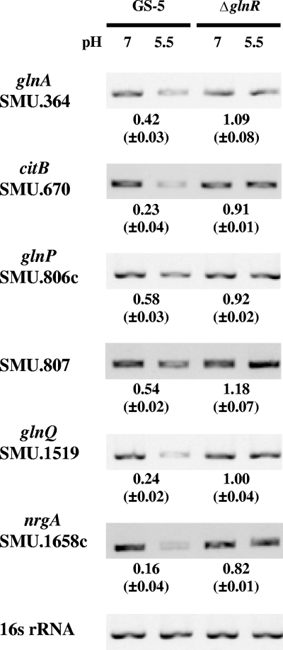 FIG. 4.