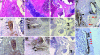 Fig. 3.