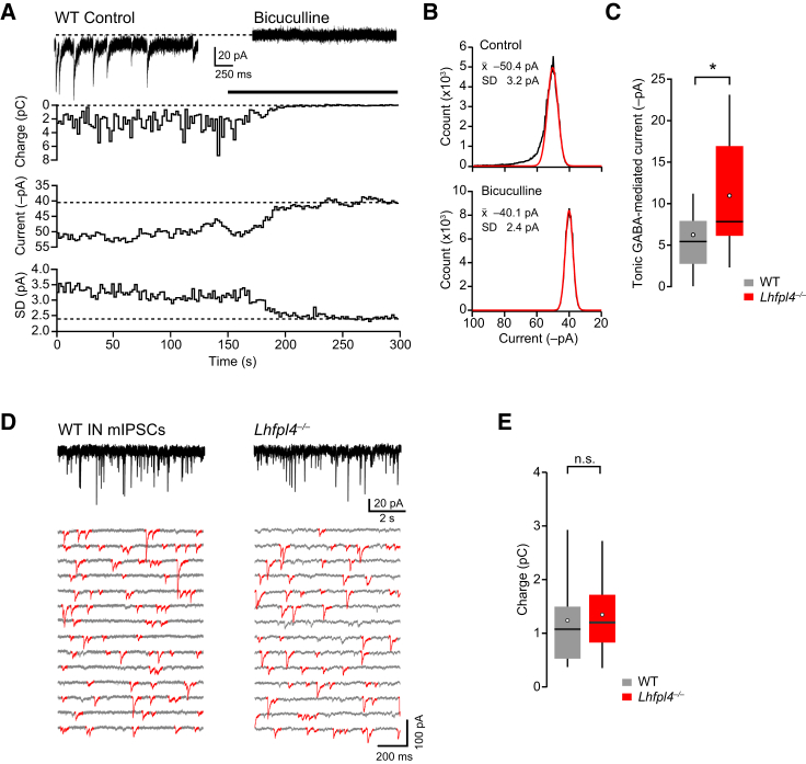 Figure 7