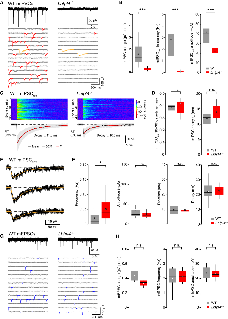 Figure 6