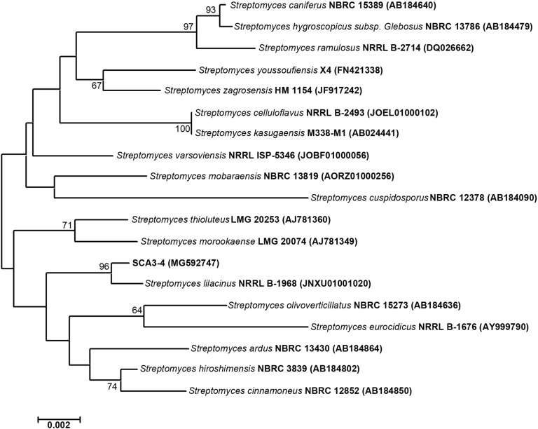 FIGURE 3