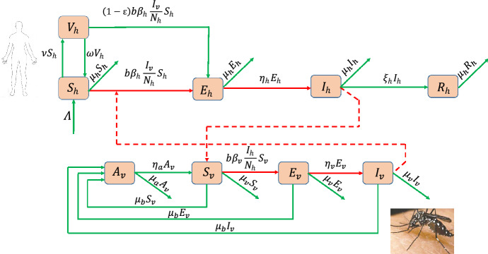 Fig. 1