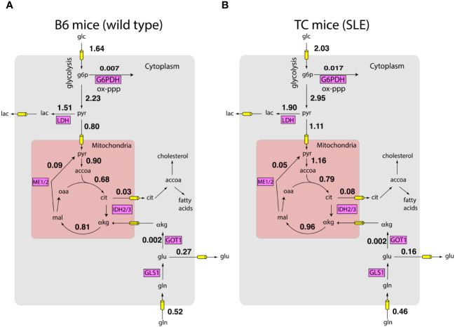 Figure 2