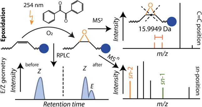 graphic file with name 216_2025_5953_Figd_HTML.jpg