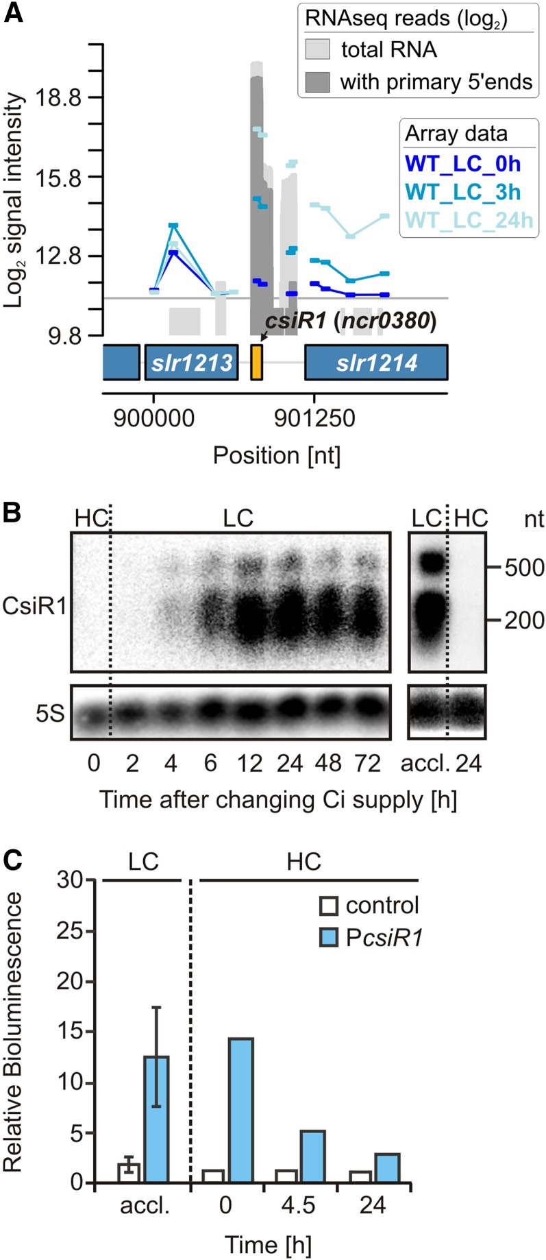 Figure 1.