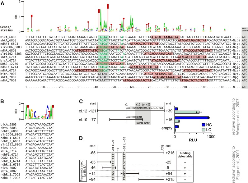 Figure 4.