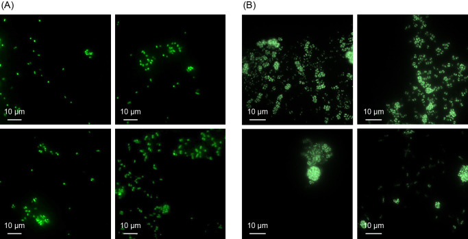 Fig. 2.