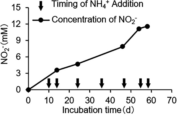 Fig. 1.