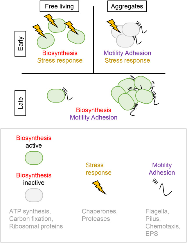 Fig. 4.