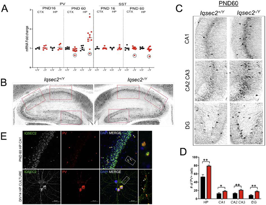 Figure 6: