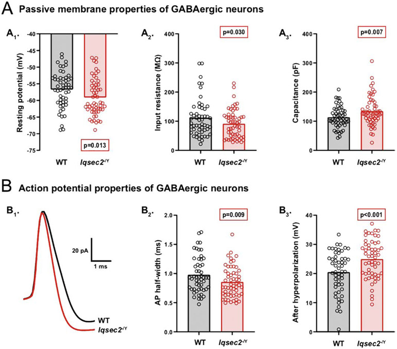 Figure 5: