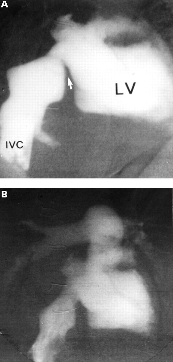 Figure 2:  