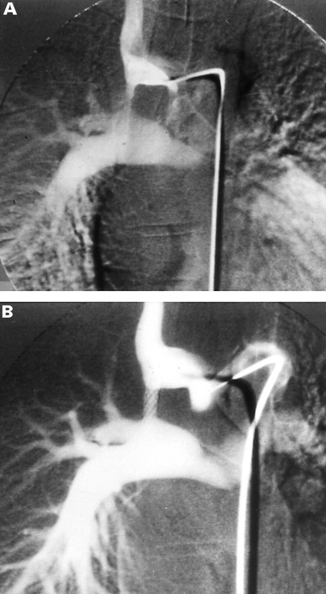 Figure 3:  