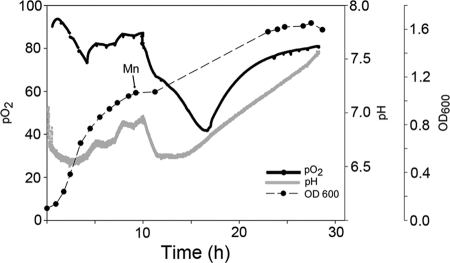 Fig 4