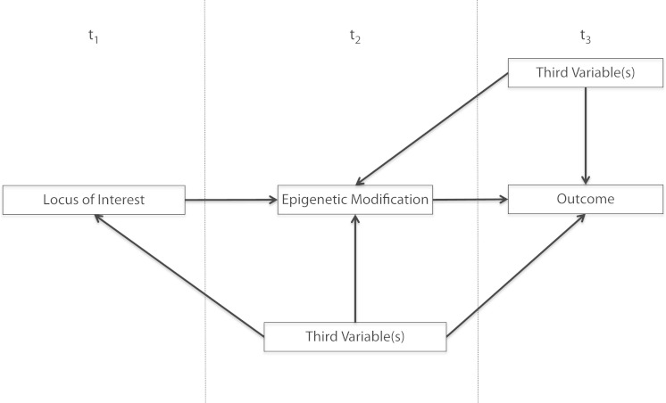 FIGURE 1—