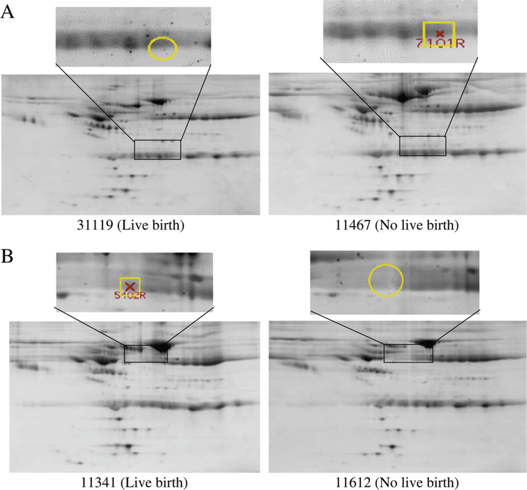 FIGURE 3