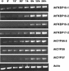 Figure 10.