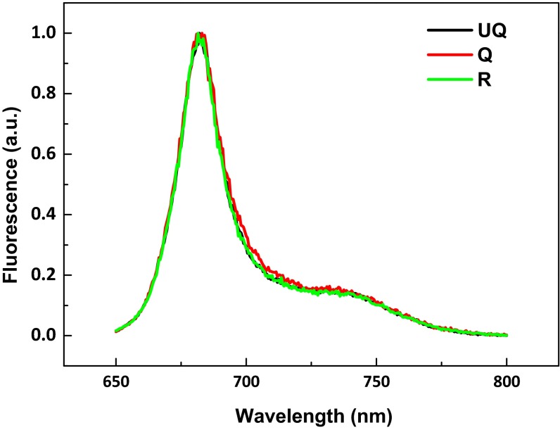 Fig. S4.