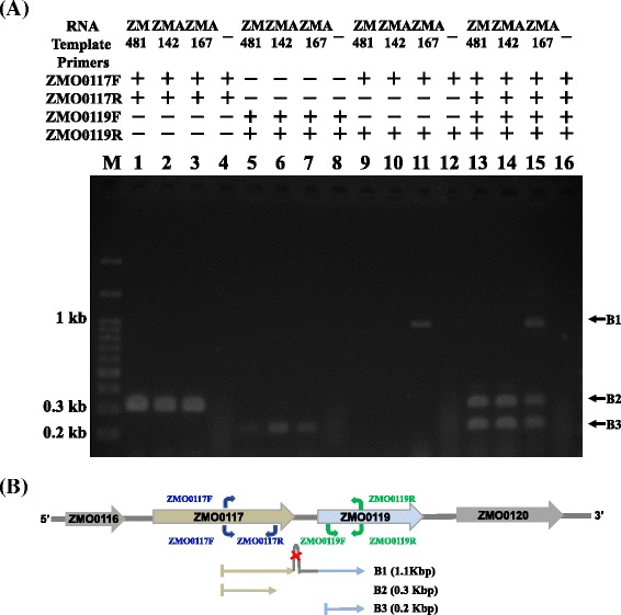 Fig. 6