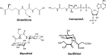 <b>FIG. 1.</b>