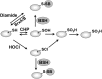 <b>FIG. 6.</b>