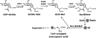 <b>FIG. 2.</b>