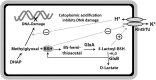 <b>FIG. 4.</b>