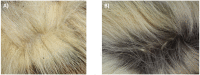 Appendix 2—figure 1.