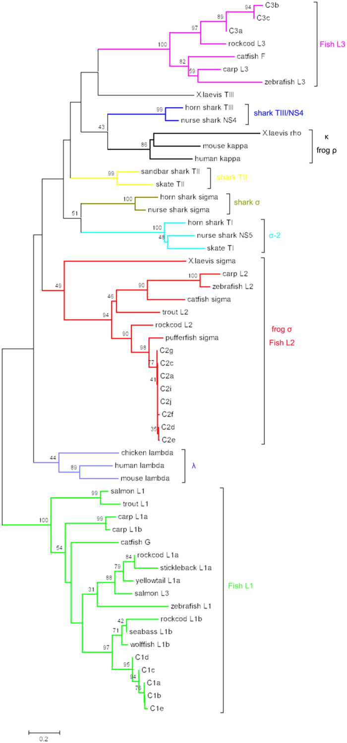 Figure 9