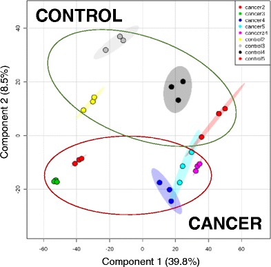 Graphical abstract