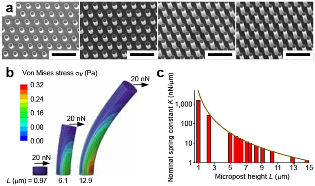 Figure 2 |