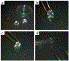 Figure 4 |
