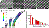 Figure 2 |