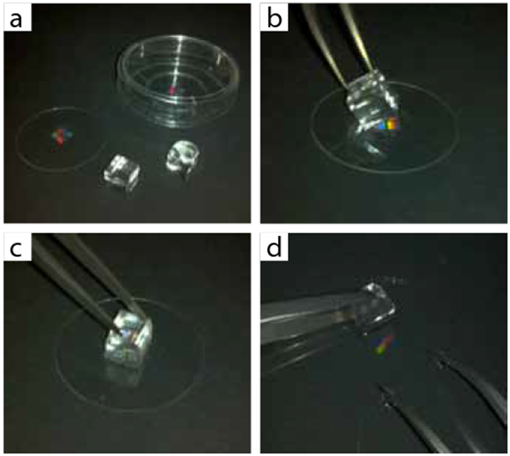 Figure 4 |