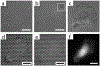 Figure 5 |
