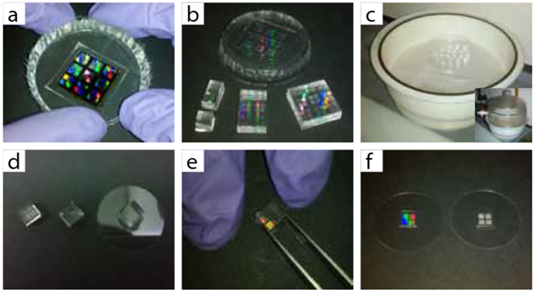 Figure 3 |