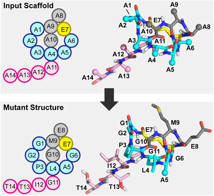 Figure 4.