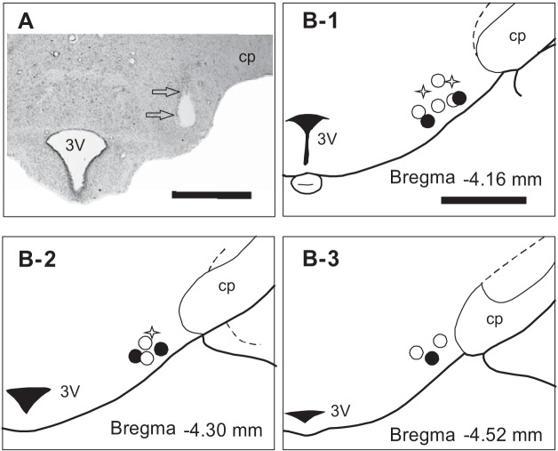 Fig. 5.