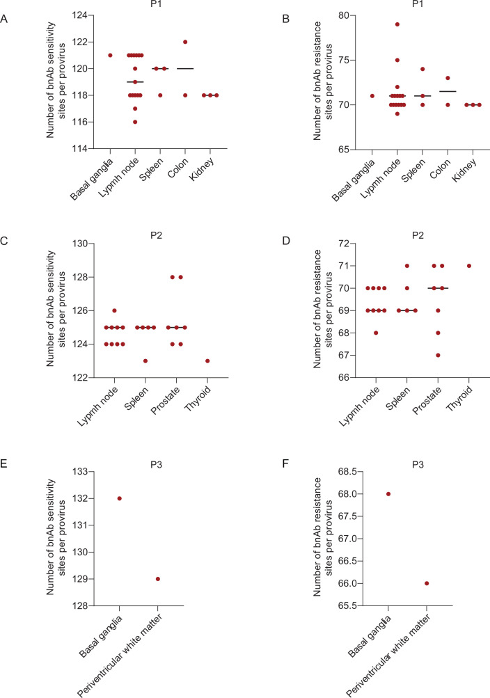 Figure 5—figure supplement 1.