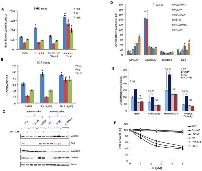 KEAP1 Is a Redox Sensitive Target That Arbitrates the Opposing ...