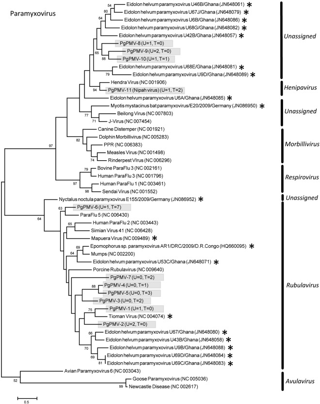 FIG 1 